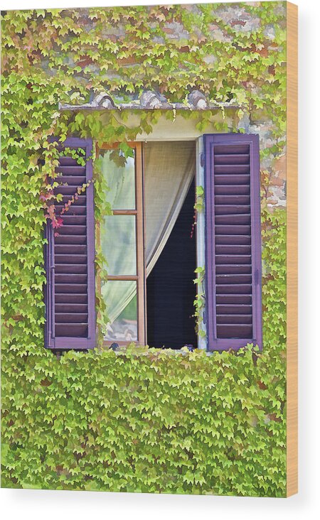 Art Wood Print featuring the photograph Ivy Covered Window of Tuscany by David Letts