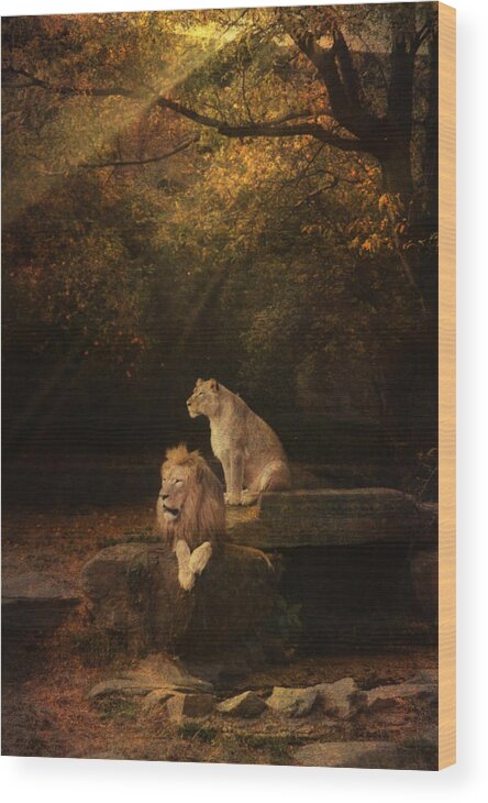 Wildlife Wood Print featuring the photograph Keeping Guard by John Rivera