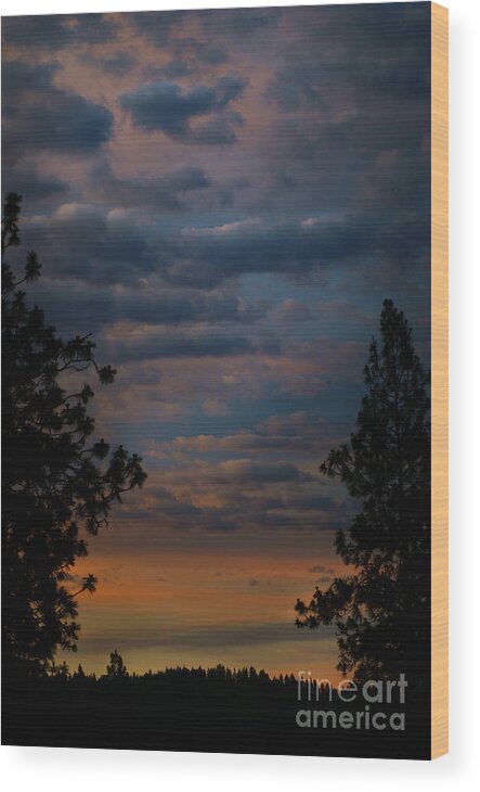 Sunrise Wood Print featuring the photograph Landscape by Loni Collins