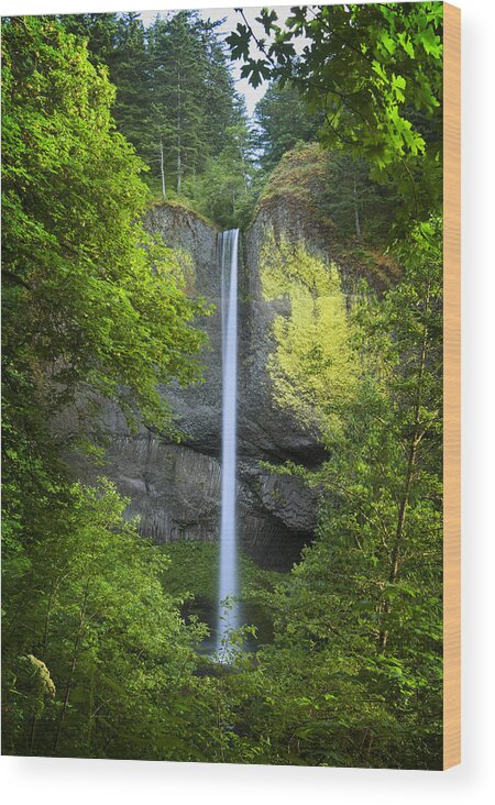 Water Wood Print featuring the photograph Latourell Falls by Jon Ares