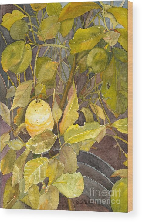 Plants Wood Print featuring the painting Lemon Tree by Sandy Linden
