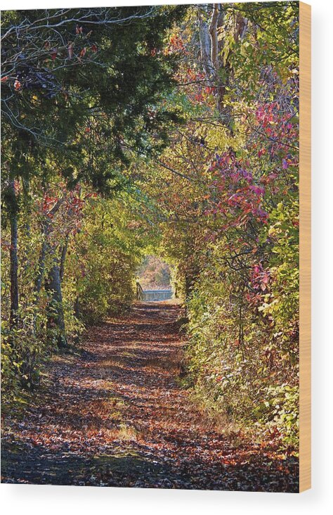 Anne Arundel County Wood Print featuring the photograph Light at the End of the Tunnel by Kathi Isserman