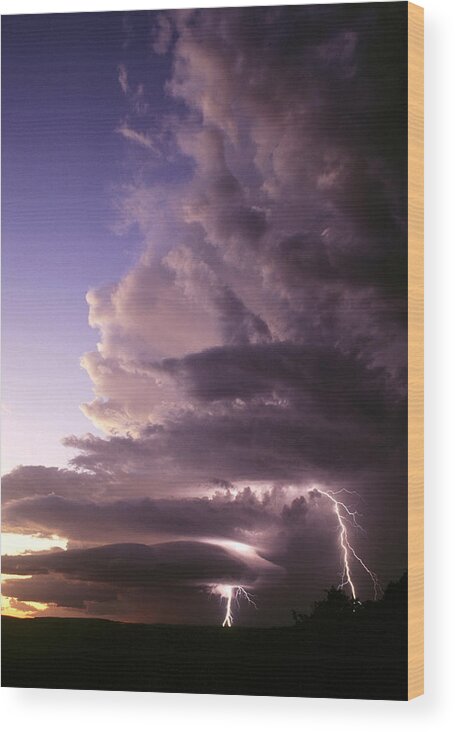 Cumulonimbus Wood Print featuring the photograph Lightning Storm at sunset by Mark Langford