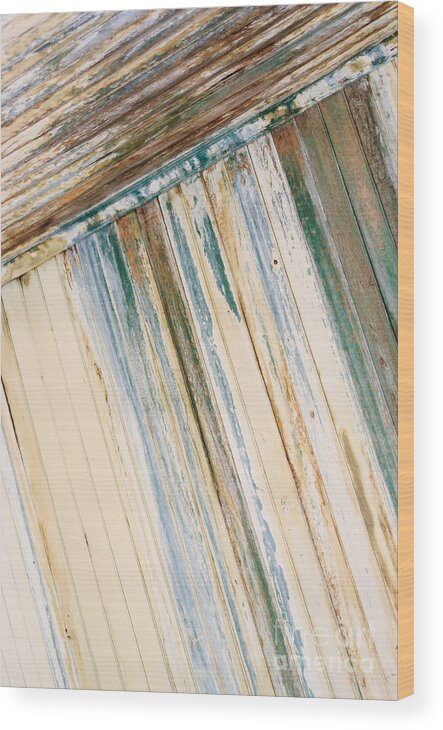 Abstract Wood Print featuring the photograph Lines by Tamara Becker