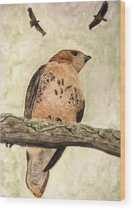 Red Tailed Hawks Wood Print featuring the painting Look Up by Angela Davies