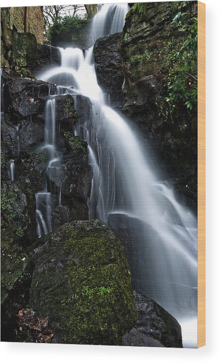 Water Wood Print featuring the photograph Lwv10024 by Lee Winter