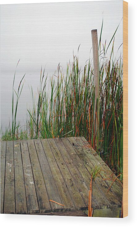 Gardens Wood Print featuring the photograph Mackay Pier by George D Gordon III