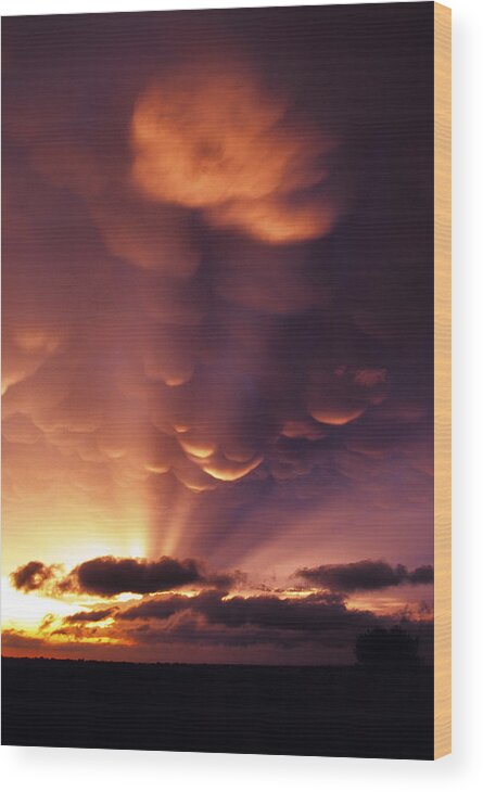 Mammatus Wood Print featuring the photograph Mammatus Sunset over Colorado by Jason Politte