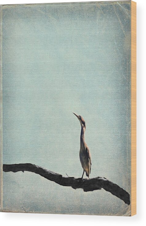 Nature Wood Print featuring the photograph Minimalist Vintage Inspired Green Heron on Pale Blue Sky by Brooke T Ryan