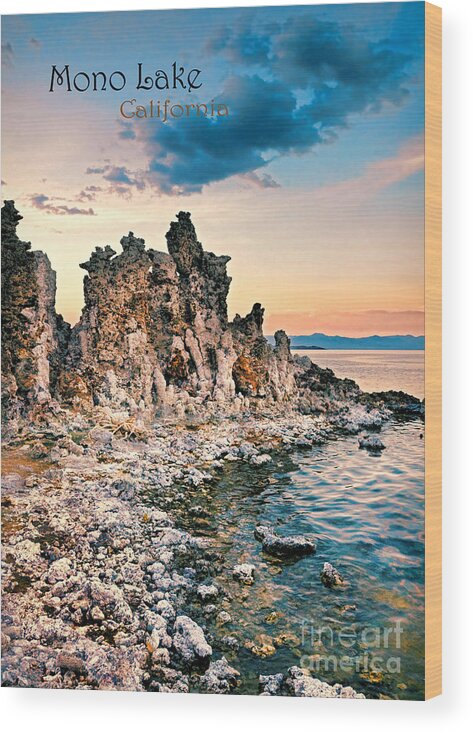Mono Lake Wood Print featuring the photograph Mono Lake by Jill Battaglia