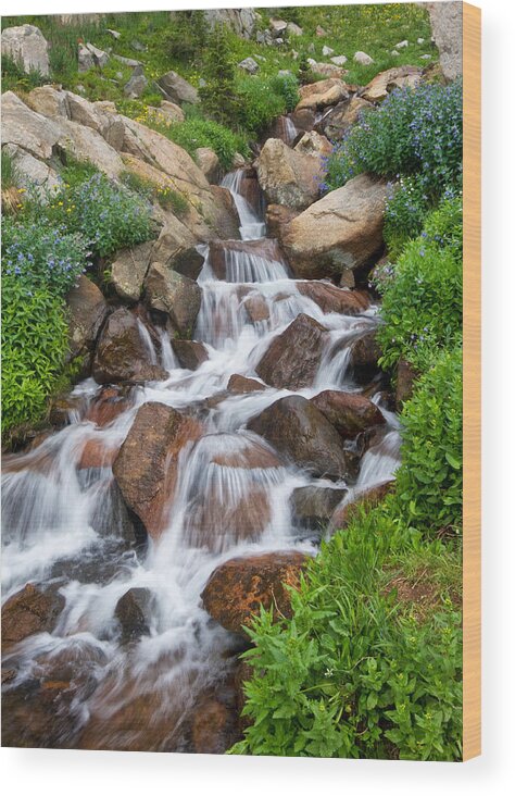 Landscapes Wood Print featuring the photograph Mountain Stream by Ronda Kimbrow