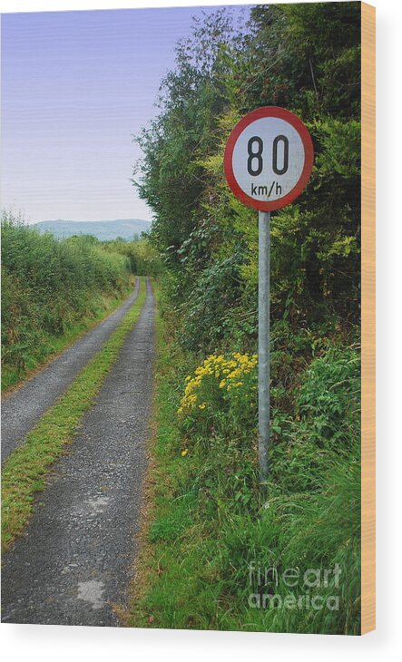 80kmh Wood Print featuring the photograph No speeding by Joe Cashin