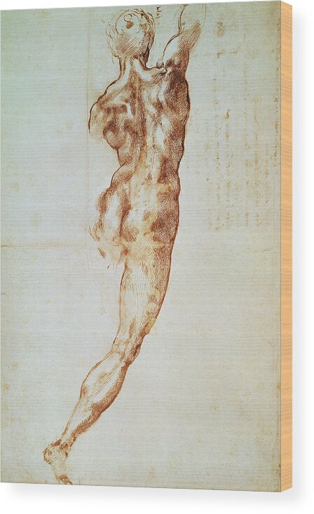 Michelangelo Wood Print featuring the drawing Nude, Study For The Battle Of Cascina by Michelangelo Buonarroti