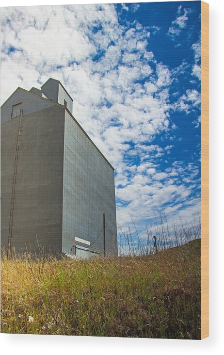 Grain Elevator Wood Print featuring the photograph Of clouds and grain by Kunal Mehra
