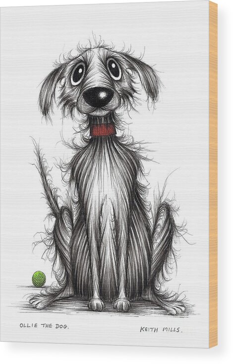 Ollie The Dog Wood Print featuring the drawing Ollie the dog by Keith Mills