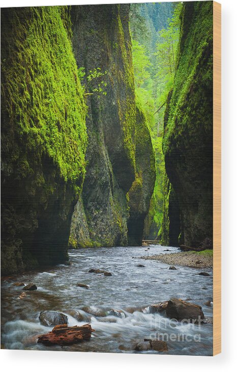 America Wood Print featuring the photograph Oneonta River Gorge by Inge Johnsson