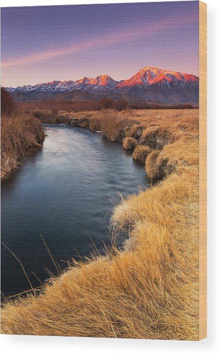 Sunrise Along The Owens River Wood Print featuring the photograph Owens River by Tassanee Angiolillo