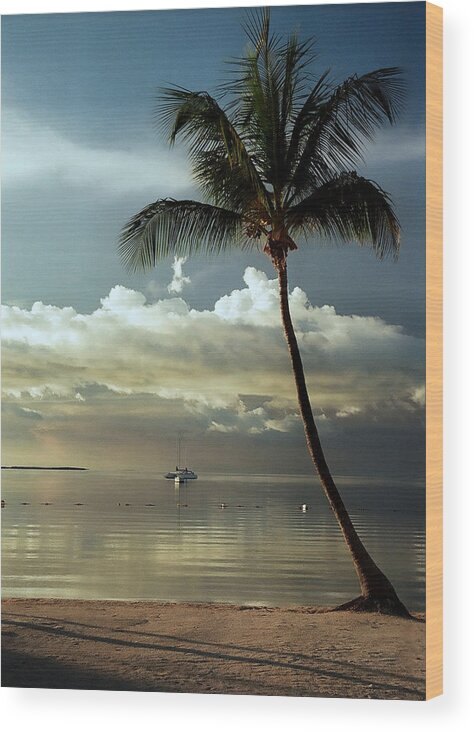 Key West Wood Print featuring the photograph Paradise Reflections.. by Al Swasey