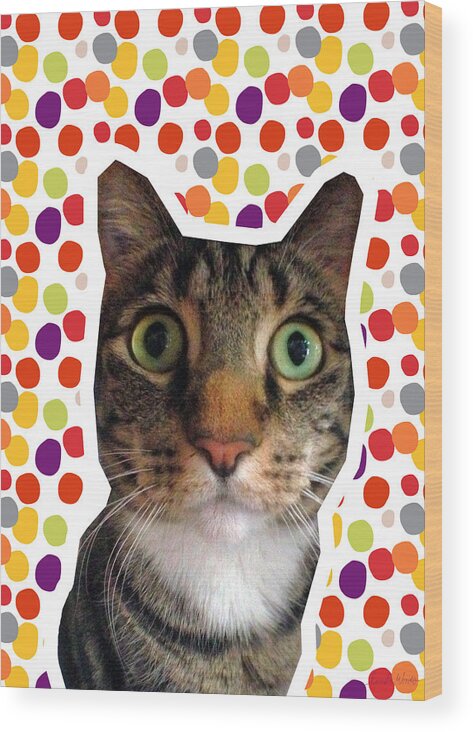 Cat Wood Print featuring the photograph Party Animal - Smaller Cat with Confetti by Linda Woods