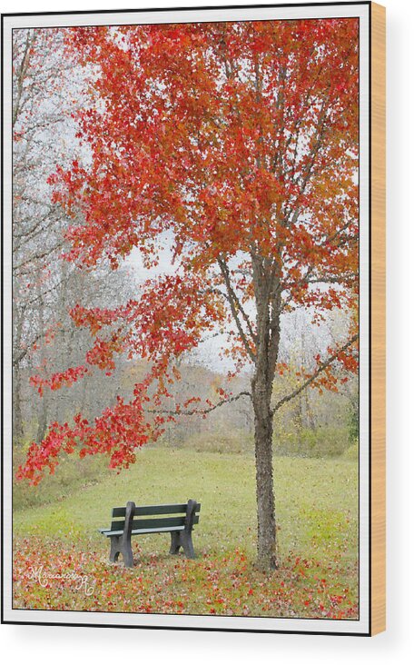 Peaceful Wood Print featuring the photograph Patiently Waiting by Mariarosa Rockefeller