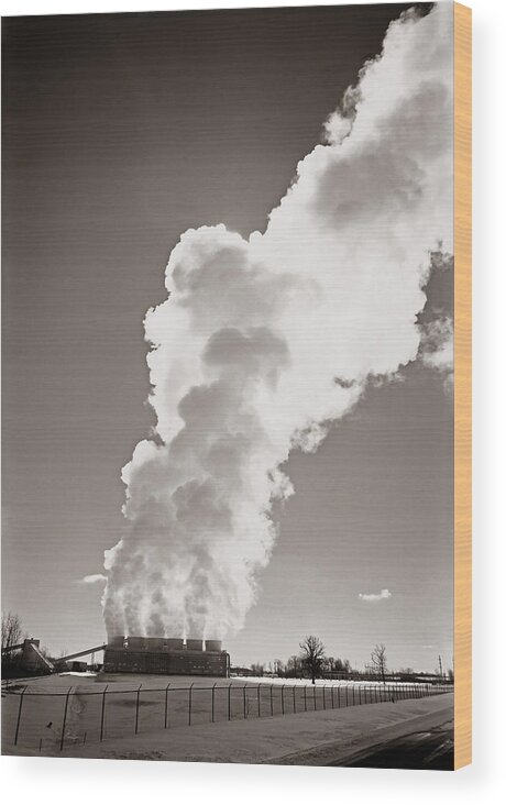Paul Bunyans Carbon Footprint Wood Print featuring the photograph Paul Bunyan's Carbon Footprint by Kris Rasmusson