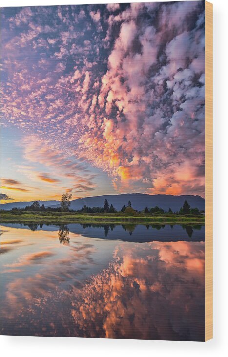 Alouette River Wood Print featuring the photograph Perfect Pink by James Wheeler