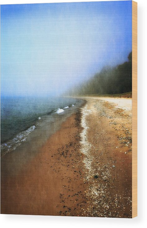 Lake Michigan Wood Print featuring the photograph Pier Cove Beach by Michelle Calkins