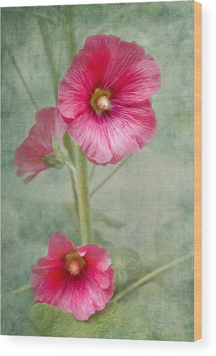Hollyhock Wood Print featuring the photograph Pink Hollyhocks by Lena Auxier