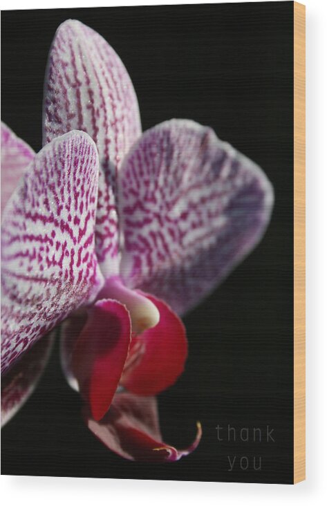 Flower Wood Print featuring the photograph Pink White Orchid and a reminder to utter the words Thank You. by Raenell Ochampaugh
