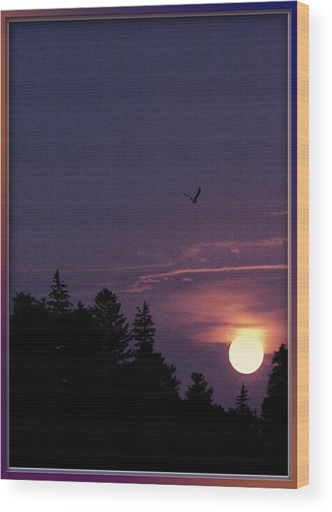 Purple Sunset With Forest Silhouette Wood Print featuring the photograph Purple Sunset With Sea Gull by Peter V Quenter