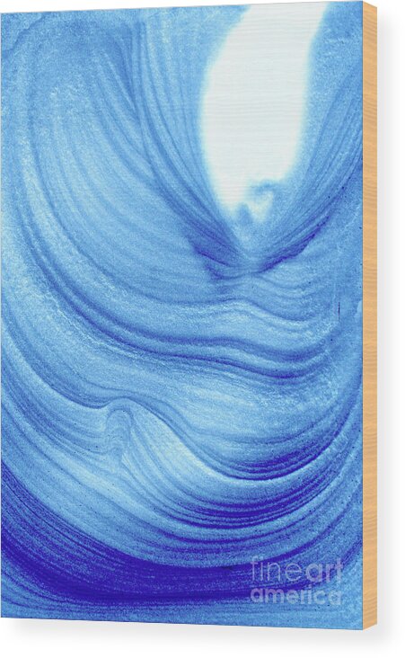 Jamie Lynn Gabrich Wood Print featuring the photograph Query Blue 2 by JamieLynn Warber