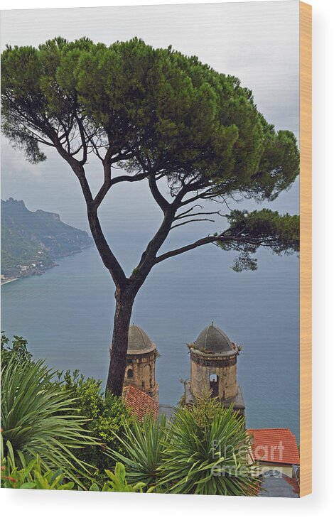 Seascape Wood Print featuring the photograph Rapallo Italy by Nancy Bradley