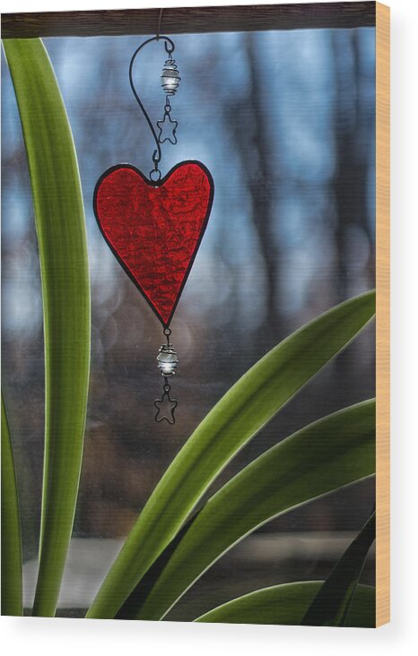 Heart Wood Print featuring the photograph Red and Green by Wayne Meyer