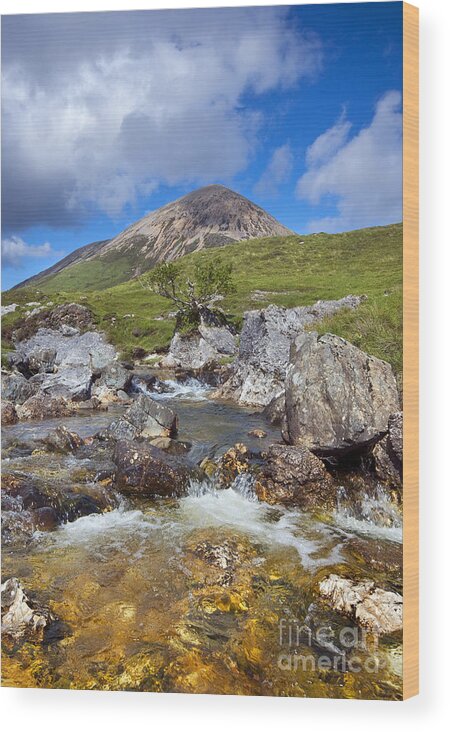 Landscape Wood Print featuring the photograph Red Cuillin by David Lichtneker