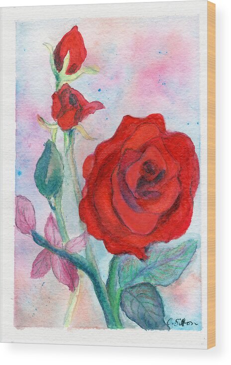 Rose Paintings Wood Print featuring the painting Red Roses by C Sitton