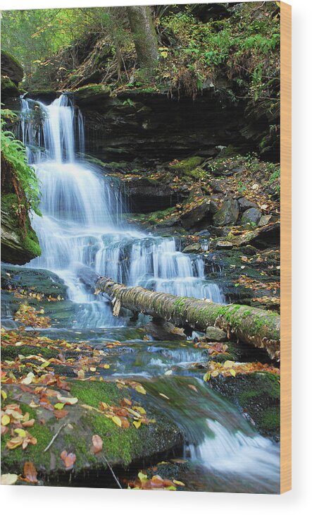Cascade Waterfalls Wood Print featuring the photograph Ricketts Glen Hidden Waterfall by Crystal Wightman