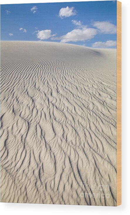 00559175 Wood Print featuring the photograph Rippled Dunes in White Sands by Yva Momatiuk John Eastcott