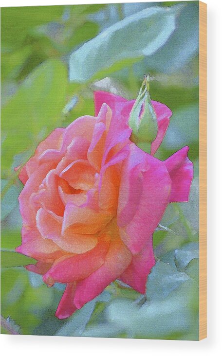 Floral Wood Print featuring the photograph Rose 178 by Pamela Cooper