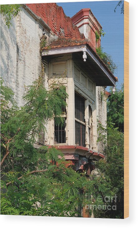 Balcony Wood Print featuring the photograph Royal Balcony by Kiran Joshi