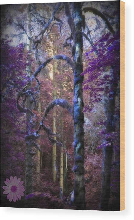 Fantasy Wood Print featuring the photograph Sacred Forest by Amanda Eberly