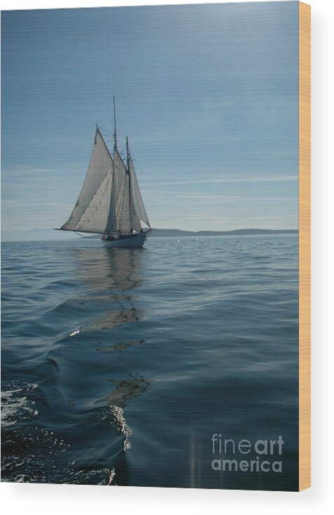 Sailboat Wood Print featuring the photograph Sail the Blue by NightVisions