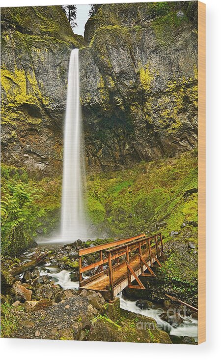 Elowah Falls Wood Print featuring the photograph Scenic Elowah Falls in the Columbia River Gorge in Oregon by Jamie Pham