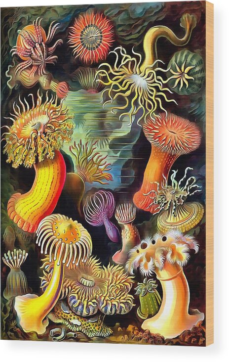 Ernst Haeckel Wood Print featuring the painting Sea Anemones by Ernst Haeckel