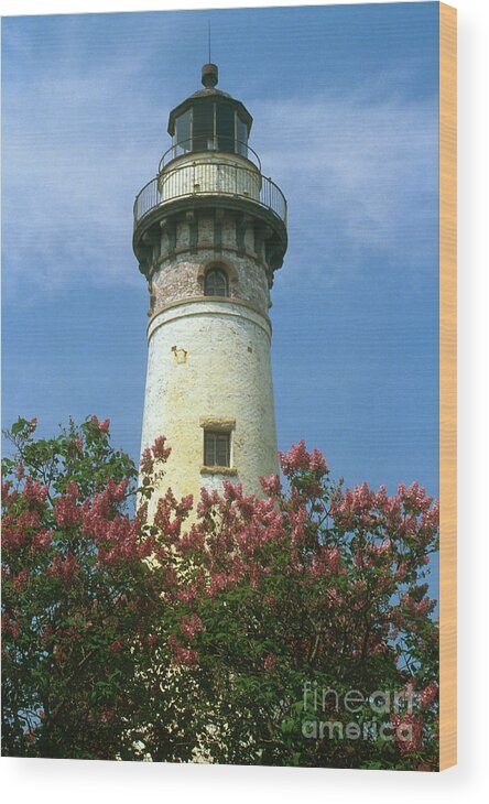 Lighthouse Wood Print featuring the photograph Seul Choix Point Light, Mi by Bruce Roberts