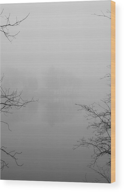 Foggy Wood Print featuring the photograph Simple Pleasures by Luke Moore