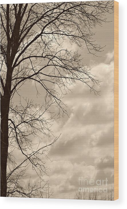 Sky In Sepia Print Wood Print featuring the photograph Sky in sepia by Lila Fisher-Wenzel