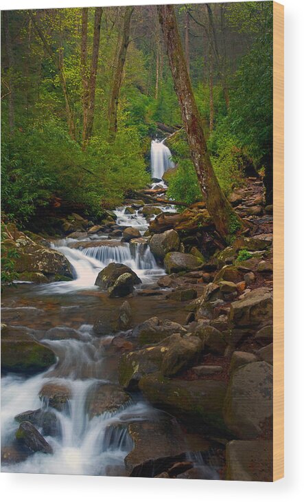 Stream Wood Print featuring the photograph Smoky Mtn stream - 024 by Paul W Faust - Impressions of Light