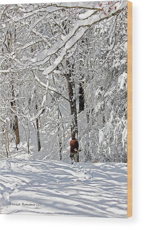 Landscape Wood Print featuring the photograph Snow Walking by Denise Romano