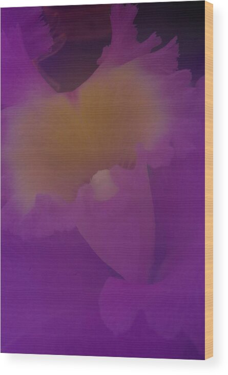 Orchid Wood Print featuring the photograph Soft Orchid by Ken Dietz