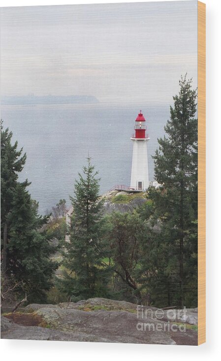 Lighthouse Wood Print featuring the photograph Standing Guard by Vivian Martin